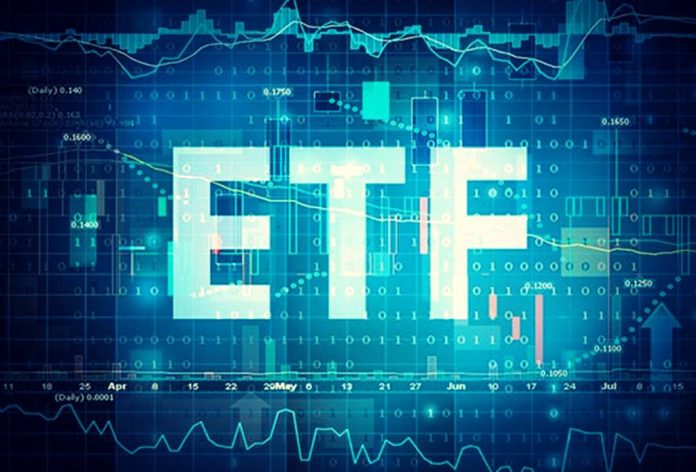 <strong><em>Key Tips for Finding the Most Professional ETFs Trader</em></strong>